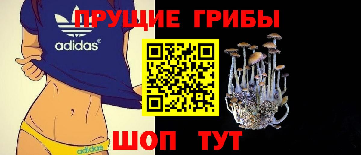 Полысаево  Галлюциногенные грибы ЛСД  Псилоцибиновые грибы Psilocybine cubensis  Вход с VPN 